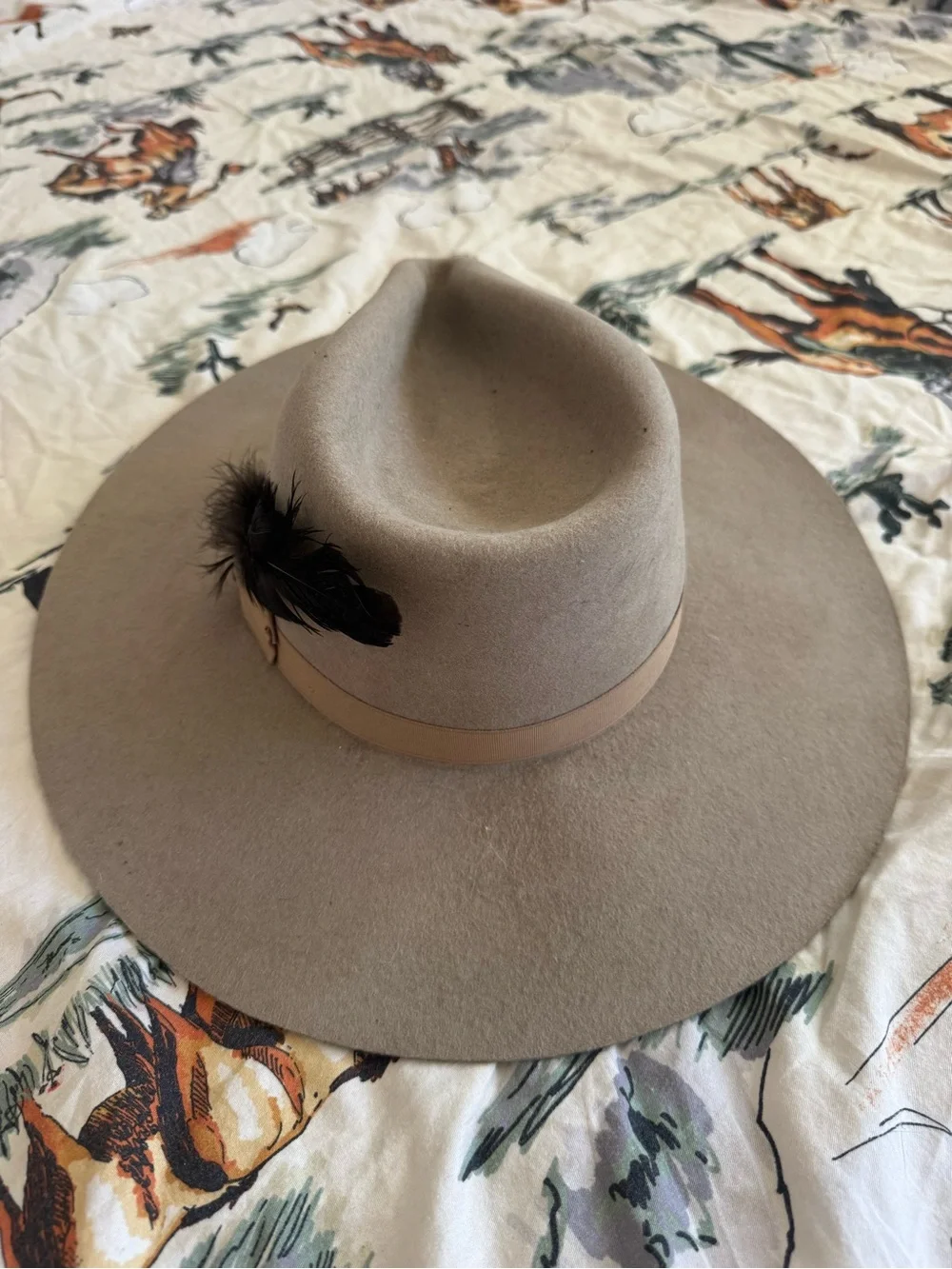 Charlie 1 Horse brim cowgirl